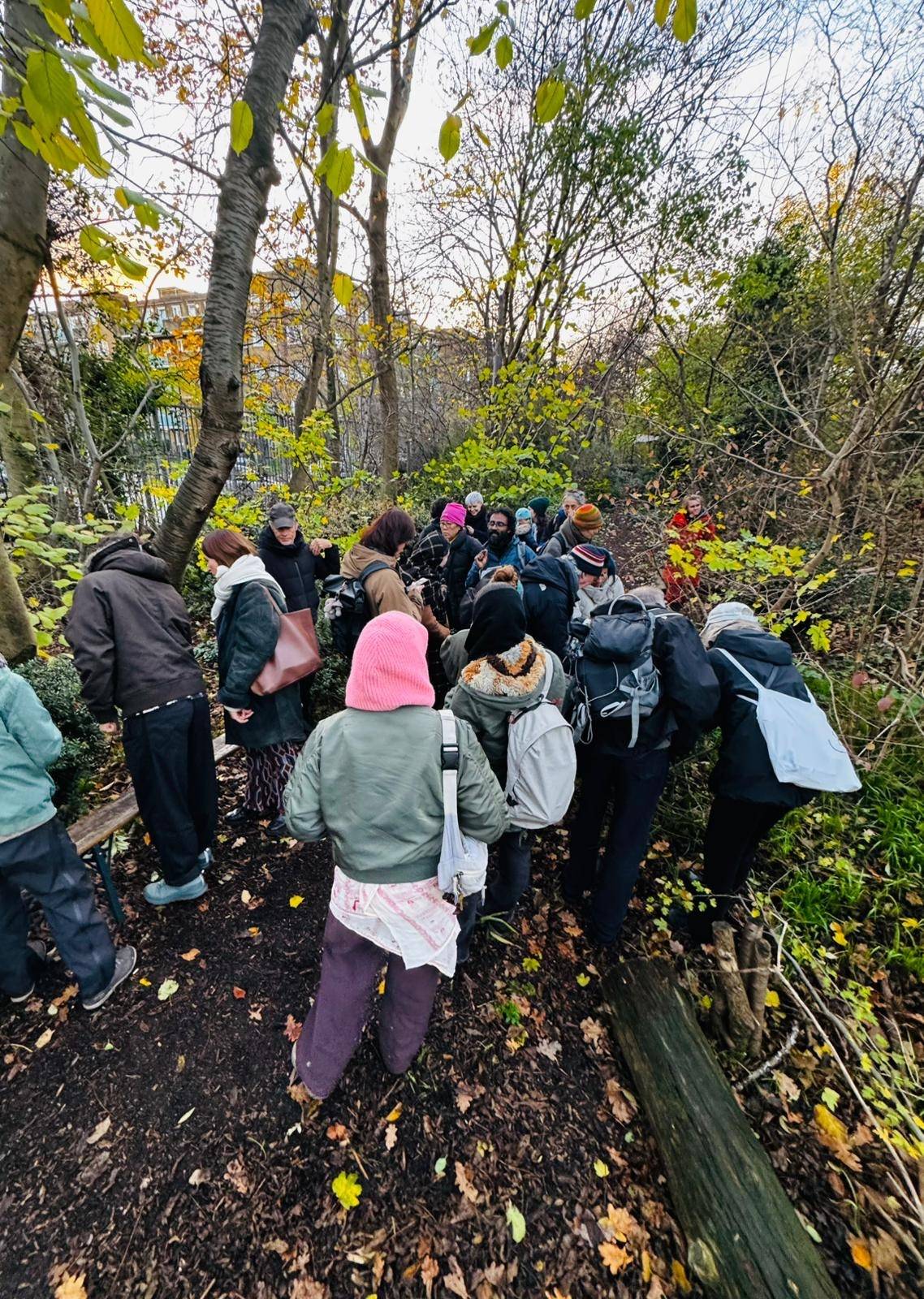 Wild Food Walk — Than